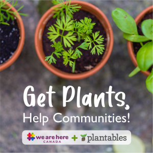 Help Sponsor a Garden!